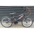Spider Professional Kids BMX Bike